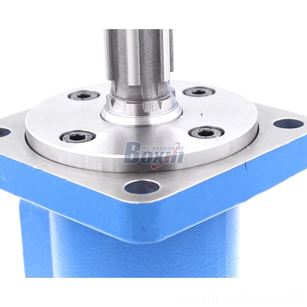 BM3 Cycloid Hydraulic Motor 100 cc/r 50 Lpm - Factory Direct Supply detail image